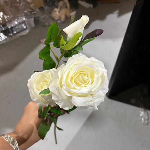 White Garden Spray Roses New Garden Rose Spray( White)