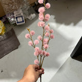 Dandelion Pink bud Single Stem Pink Pom ball