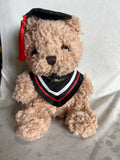 Small Graduation  Bear