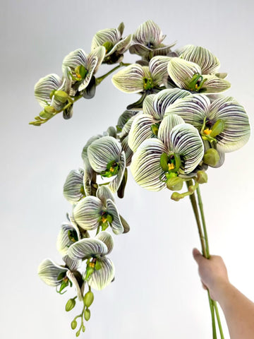 PHALAENOPSIS ORCHID green ARTIFICIAL new