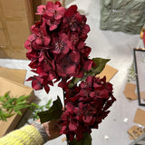 2 head panicle/cone Hydrangea Single Stem Spray Burgundy