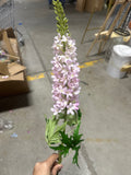 New Foxtail for Wedding artificial flower (Lilac)
