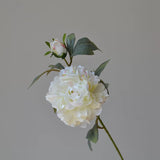 Coral Single Stem Peonies spray also in pink or white