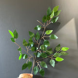 Ficus Leaf artificial greenery benjamina