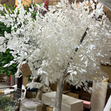 White leaf Tree