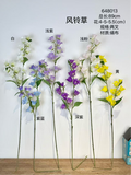 bell flower campanula yellow