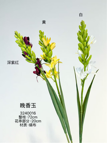 New tuberose