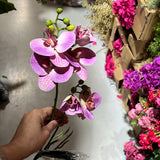 Purple with leaf Phalaenopsis Orchid Real touch Flower