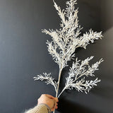 Thin White rice leaf Filler Long Stem Greenery