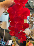 PHALAENOPSIS ORCHID ARTIFICIAL Red real touch