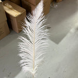 Thin OSTRICH FEATHER PLUMES ALL LENGTHS ALL COLORS(18"-20")-OST6