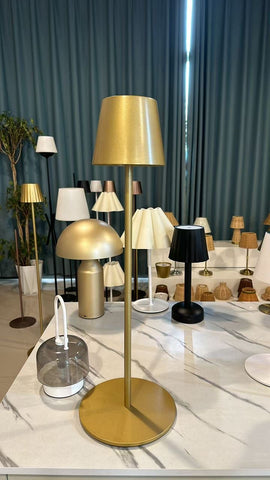 Tall Gold lamp usb charging 24”