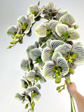 PHALAENOPSIS ORCHID green ARTIFICIAL new