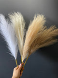 New short stem Coffee color artificial Pampas Grass Artificial