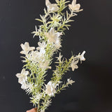 New White Peacock Spray Artificial Flower