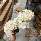 2 head CREAM panicle/cone Hydrangea Single Stem spray