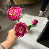 3 head Hot pink Single stem Ranunculus Puffy Spray