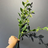 Wild grass small white flower artificial flower filler greenery