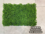 New green hedge boxwood panel backdrop thick