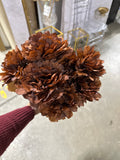 9 head PEONIES PEONY Chocolate