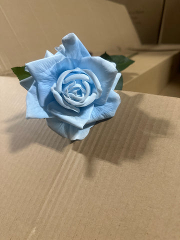 New Light Blue Moist TouchT Open Rose