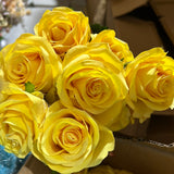 Lemon yellow 10 head Diamond Rose yellow