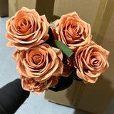 Terra cotta Colour Rose 10 head Bunch terracotta