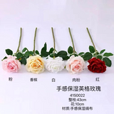 New Moist TouchT Open Rose Ceam/white England Rose