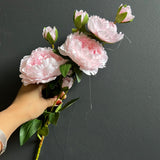 New 3 Head Light Pink Peony Spray