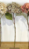 Single Stem Vintage Green Hydrangea Spray