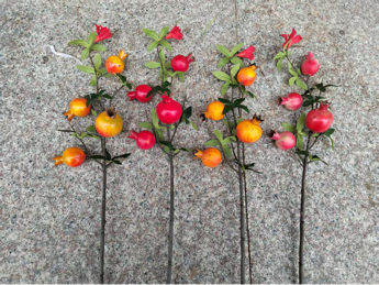 New pomegranate branch red with flower