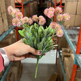 Mini Pink Pom bunch filler