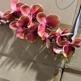 Orange Pink LARGE REAL TOUCH PHALAENOPSIS ORCHID ARTIFICIAL FLOWER orchidée