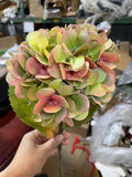 Moist Touch Real Touch Hydrangea Two Tone Peegee pink green