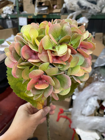Moist Touch Real Touch Hydrangea Two Tone Peegee pink green