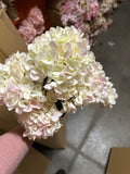 New Two Tone Pink French Hydrangea Bunch new