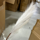 Pampas Grass Artificial single stem white