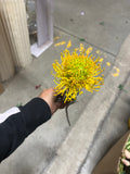 New Yellow Pin Cushion