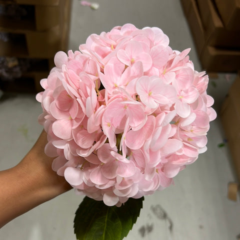 Moist Touch Real Touch Hydrangea (Light Pink)