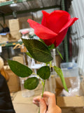 Red Single Stem Rose mini small