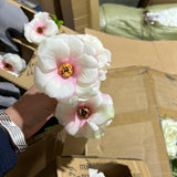 Mixed white and Pink Butterfly Ranunculus flower filler Artificial flowers