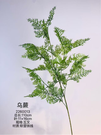 New greenery Common Wedgelet Fern Frond Lace fern parsley fern green long stem