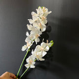 New White Wanda Orchid Artificial Flower