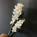 New White Wanda Orchid Artificial Flower vanda