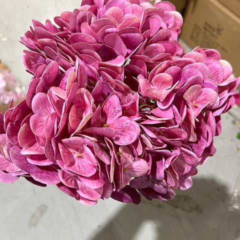 New Artificial Flower Pink Hydrangea Bunch 5 head