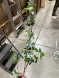 greenery leaf with Blue flowers long stem spray