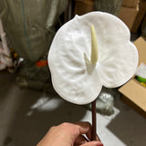 White Anthurium Laceleaf Tropical orchid Artificial Real Touch flower