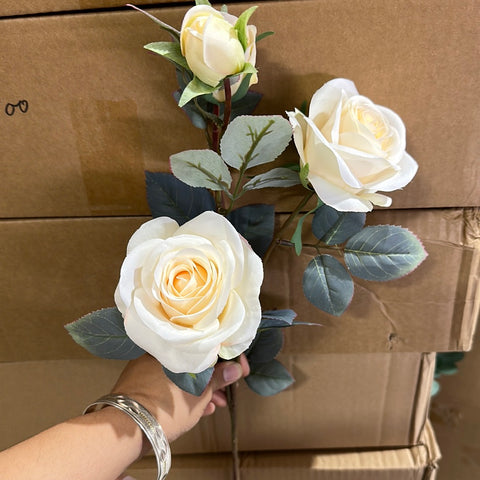 Single Rose Rococo Single Stem RocoCo Rose cream fall color