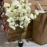 100 CM Tall White Cherry Blossom  Tree