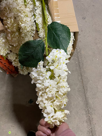 Cream white panicle/cone Hydrangea Single Stem panicle